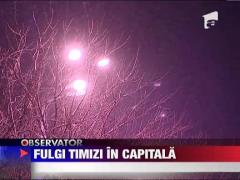 Fulgi timizi in Capitala