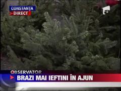 Brazi mai ieftini in Ajunul Craciunului