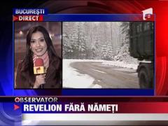 Revelion fara zapada