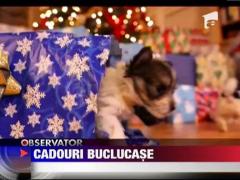 Catelusi pe post de cadouri de Craciun
