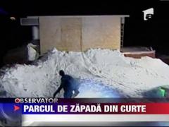 Cadou inedit de Craciun