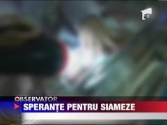 Siamezele nascute la maternitatea din Pitesti au fost stabilizate‎