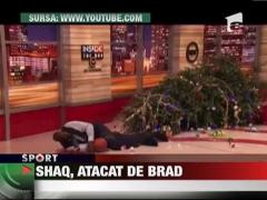 Shaquille O'Neal, atacat de bradul de Craciun!