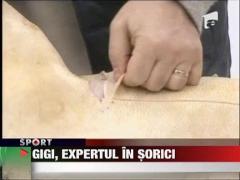 Gigi a taiat porcul si inainte de Revelion