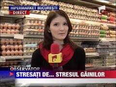 Ouale de gaini stresate, interzise in Romania ‎