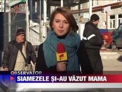 Siamezele nascute la Pitesti si-au vazut pentru prima data mama