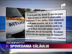 Spovedania calaului din Sag
