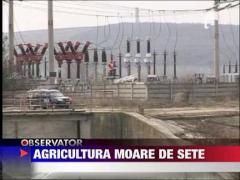 Culturi compromise si mancare mai scumpa din cauza secetei