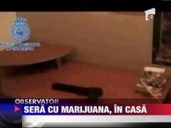 Sera de marijuana in apartament