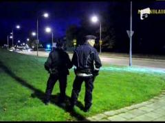 Crime in stil mafiot in Suedia