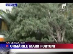 Urmarile marii furtuni