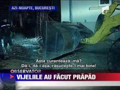 Vijeliile au facut prapad