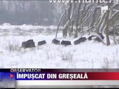 Impuscat din greseala