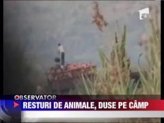 Tone de lesuri aruncate in camp