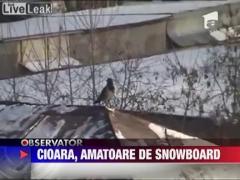 Cioara amatoare de snowboard