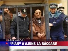Interlopul "Pian" a ajuns la racoare