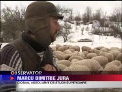 Filozof cu facultate si cioban in tara Momarlanilor