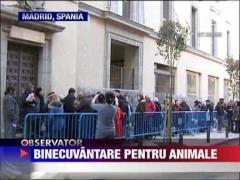 Cu animalele la biserica