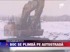 Observator de weekend