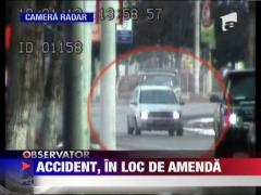 Arad: 20 de caprioare otravite