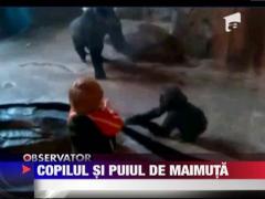 Partener de joaca inedit