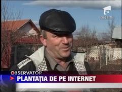 Pomicultorii pe internet