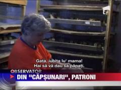 Sute de romani si-au pus pe roate mici afaceri cu bani munciti peste hotare