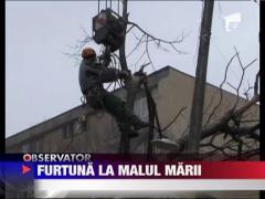 Furtuna la malul marii