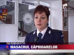 Agricultorii din Arad au decimat populatia de caprioare