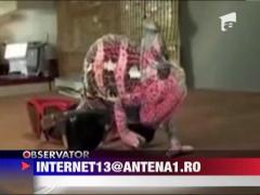 Cameleon cu ochelari