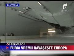 Cod rosu de ninsori in Bulgaria