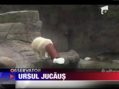 Vedeta gradinii zoologice din Danemarca