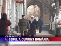 Cod portocaliu de ger