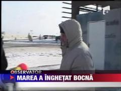 Ger extrem la malul marii