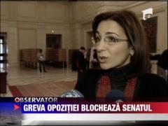 Alesii aliantei USL au intrat in greva pe o perioada nedeterminata