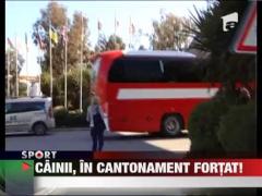 Dinamovistii au avut parte numai de suparari in Turcia