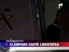 Clamparu vrea in libertate