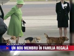 Familia regala britanica va avea un nou membru