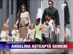 Angelina Jolie asteapta gemeni