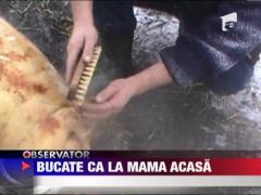 Festivalul de taiat porci organizat la Turulung