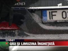 Gigi Becali si limuzina de gheata