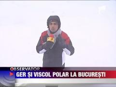 Viscolul si gerul au blocat Bucurestiul