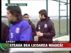 Stelistii au baut la antrenament!