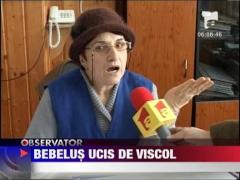 Bebelus ucis de viscol