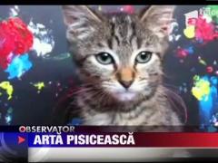 Pisicile care picteaza