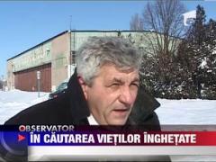Au aprins cauciucuri pentru ca elicopterele sa-i poata gasi