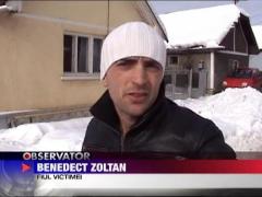 Un caine si-a muscat stapana si un jandarm