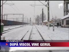 Cod galben de ger pana duminica