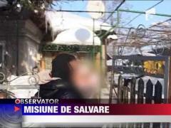 Misiune de salvare dificila in Dambovita