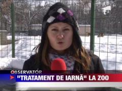 Gerul a inchis si Gradina Zoologica de la Bucov